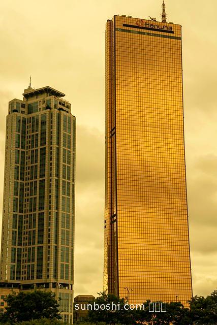 華梁草的功效與作用