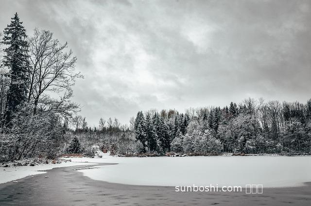 山梅根的功效與作用
