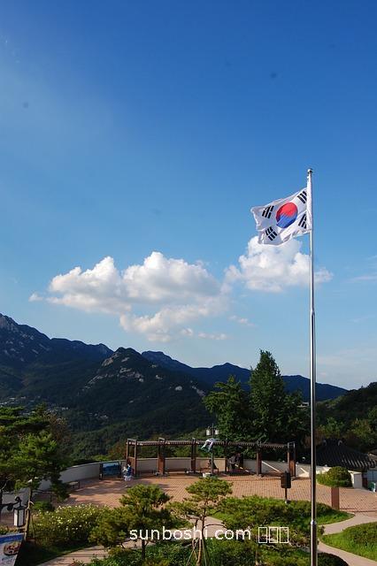 山八角的功效與作用-紅花山八角的功效與作用