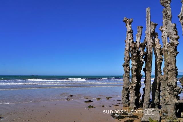 夢見丟行李箱-夢見丟行李箱失而復得