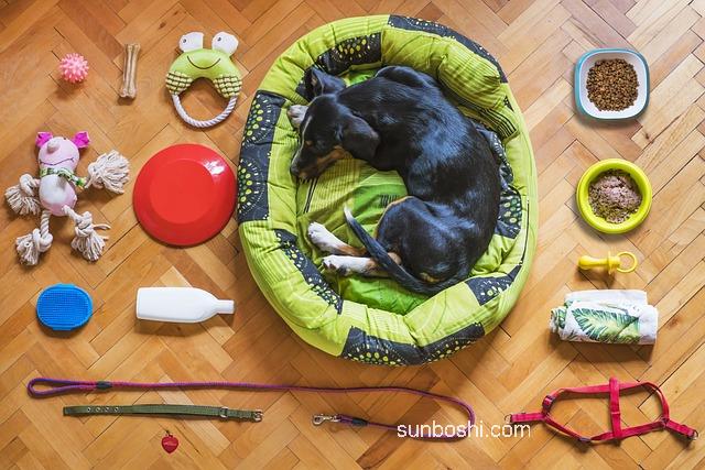 夢見洗床-夢見洗床單-夢見洗床單被套