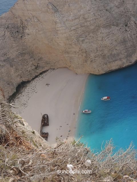 八月扎別名功效與作用-八月扎作用與功效介紹