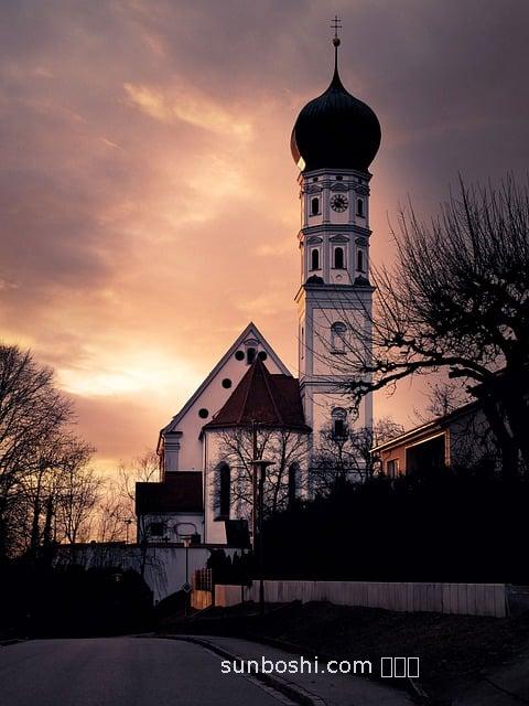 云芝蘑的功效與作用吃法