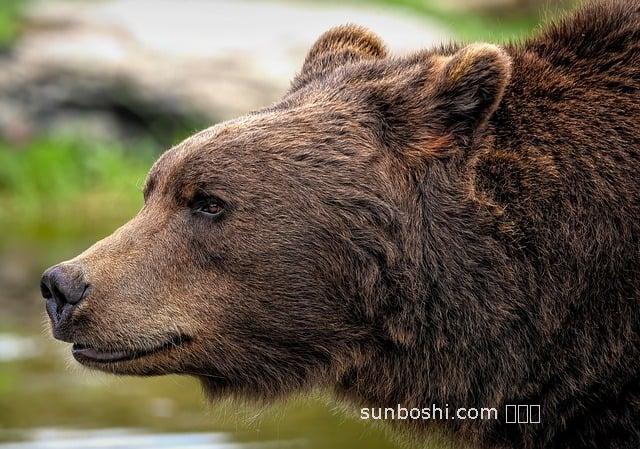 熊油涂臉的功效與作用