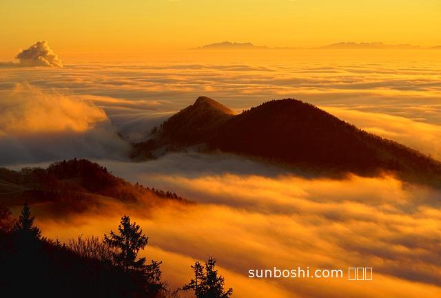 云瑞浦茶的功效與作用